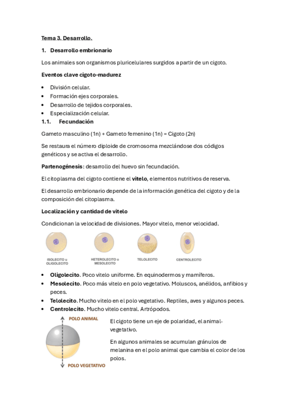 Miniatura del documento Tema-3.-Desarrollo..pdf
