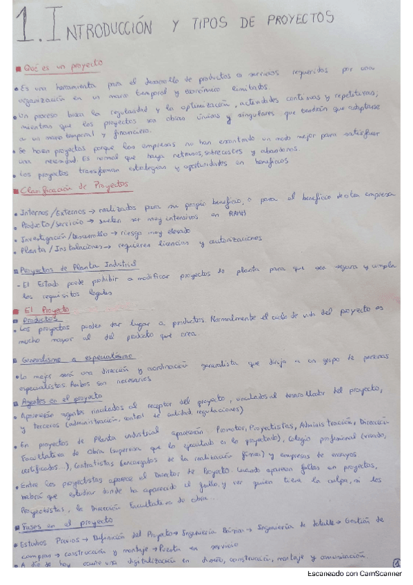 Miniatura del documento Proyectos-Apuntes-Completos.pdf