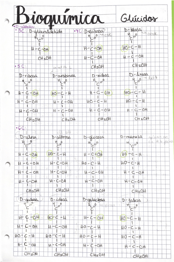 Miniatura del documento Resumen-de-todas-las-estructuras bioquímica.pdf