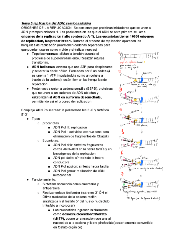 Miniatura del documento Tema-6-TEMA-14.pdf