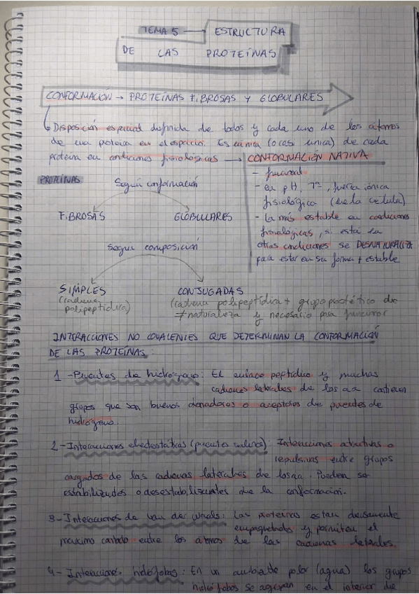 Miniatura del documento Tema-5.-Estructura-de-las-proteinas.pdf