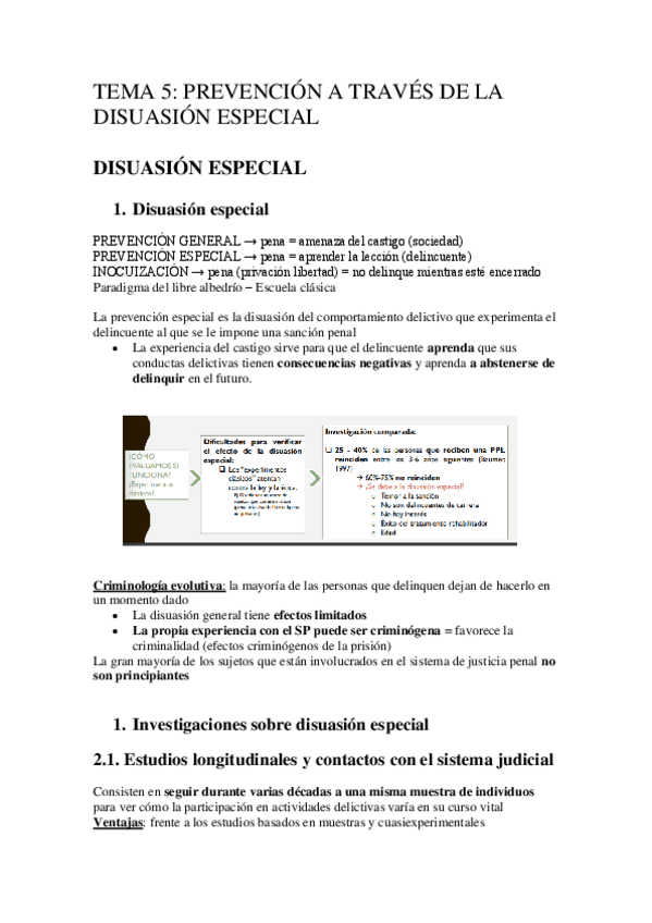 Miniatura del documento TEMA-5-PREVENCION-A-TRAVES-DE-LA-DISUASION-ESPECIAL.pdf