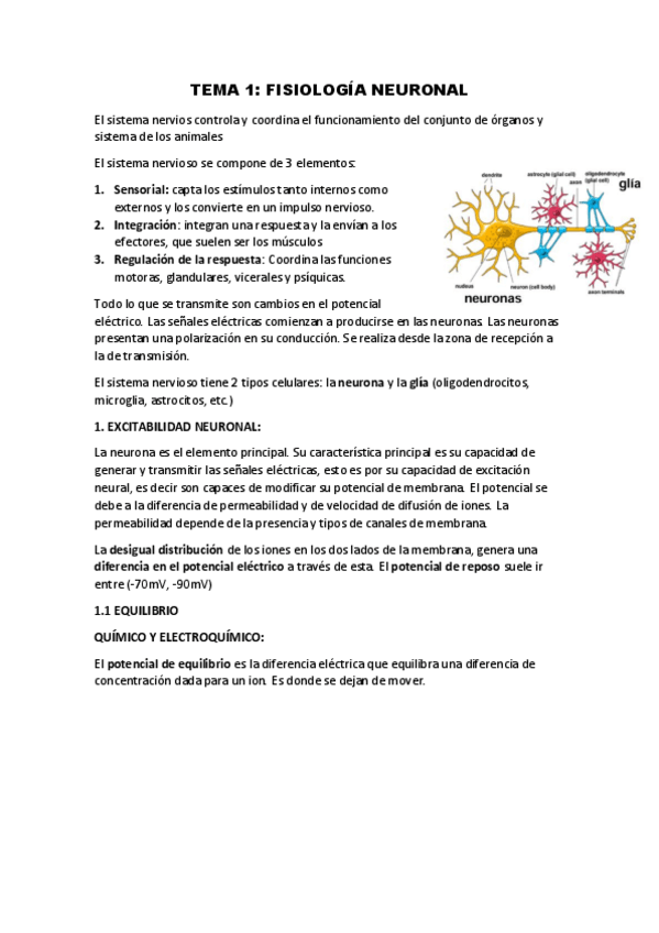 Miniatura del documento TEMA-1.pdf