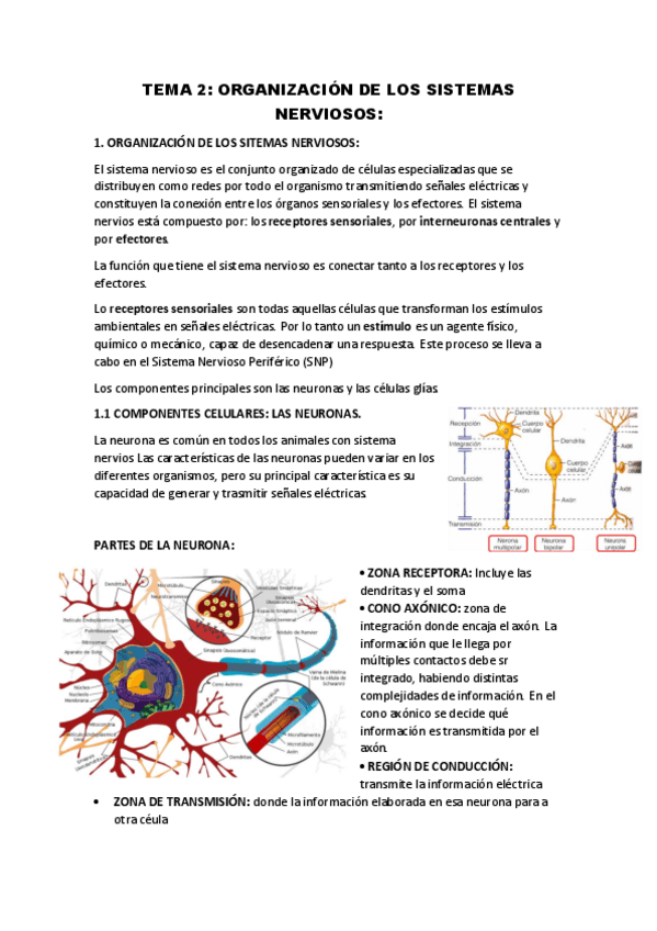Miniatura del documento TEMA-2.pdf