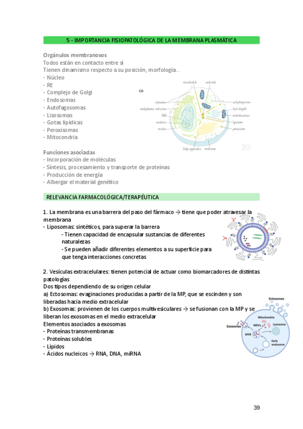Miniatura del documento BCAparte2.pdf