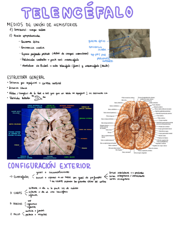Miniatura del documento Seminario-talamo.pdf