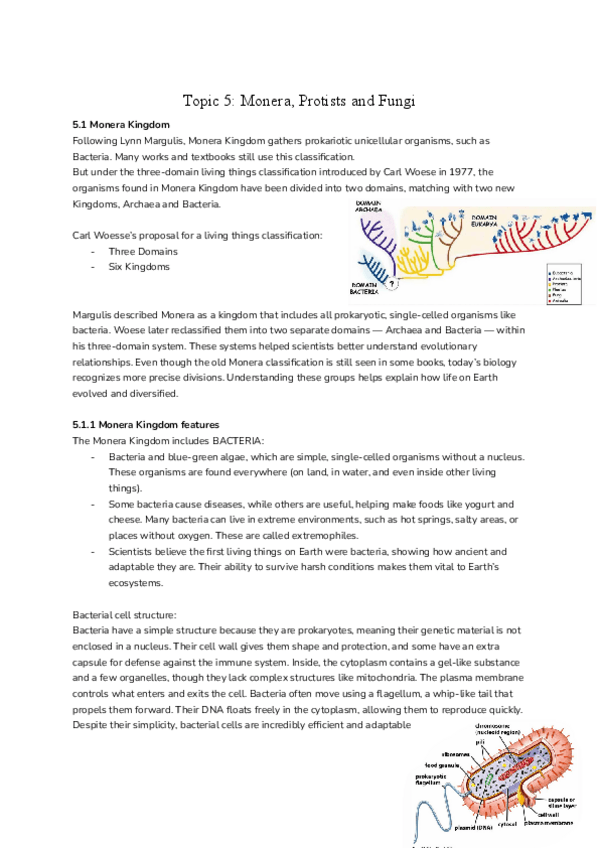 Miniatura del documento Unit5-monera-protist-fungi.pdf