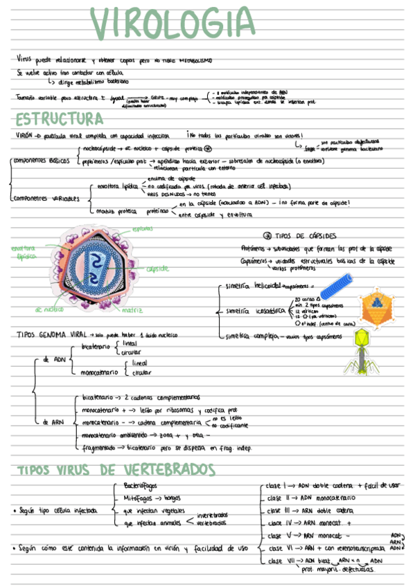 Miniatura del documento Virologia.pdf