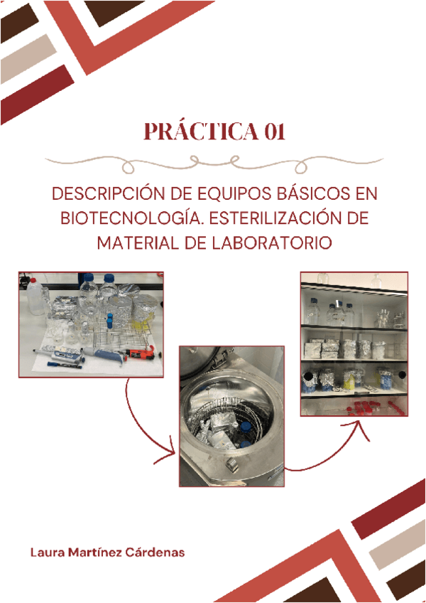 Miniatura del documento P1-Laura-Martinez-Cardenas-parte-1.pdf