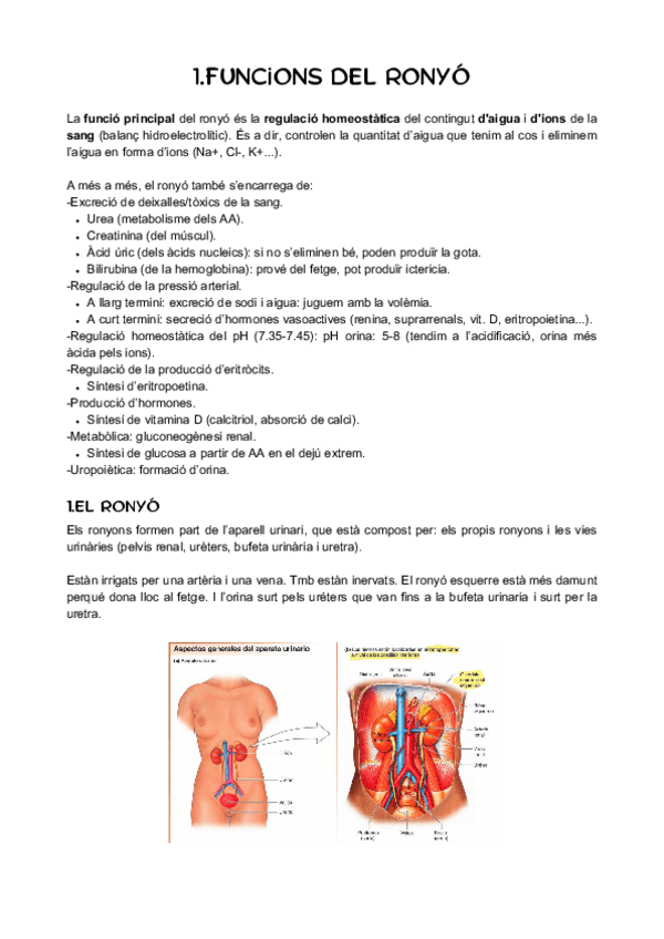 Miniatura del documento FISIOLOGIA-RENAL-COMPLETO.pdf