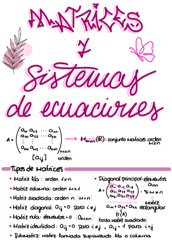 Miniatura del documento Tema-1-Matrices.pdf