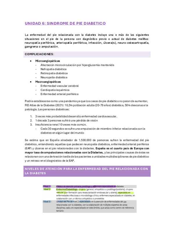 Miniatura del documento PIE-DIABETICO-tm-6.pdf