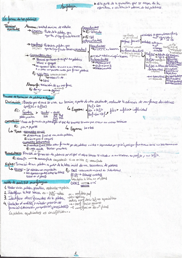Miniatura del documento morfologia.pdf