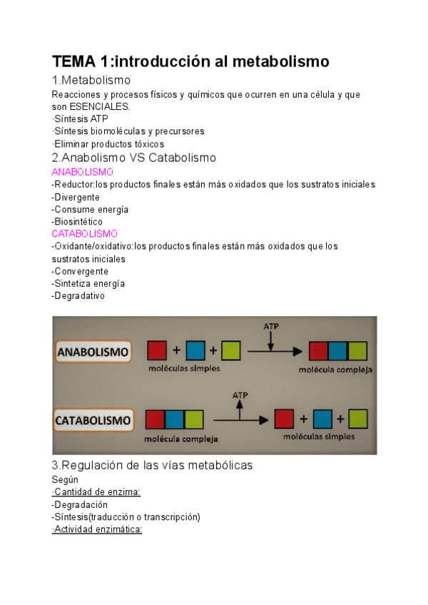 Miniatura del documento Bioquimica-II-tema-1.pdf