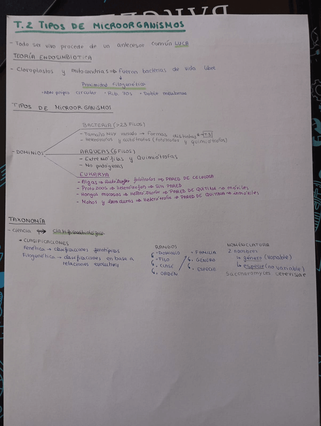 Miniatura del documento T.2-TIPOS-DE-MICROORGANISMOS.jpeg