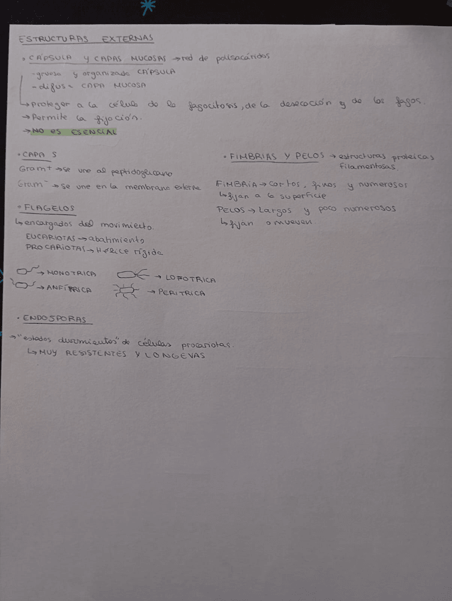 Miniatura del documento T.3-LA-CELULA-PROCARIOTA.jpeg