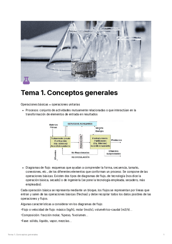 Miniatura del documento TEMA-1-CONCEPTOS-GENERALES.pdf