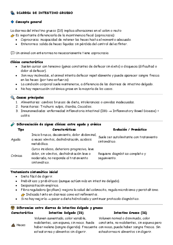 Miniatura del documento Intestino-grueso-medicas.pdf