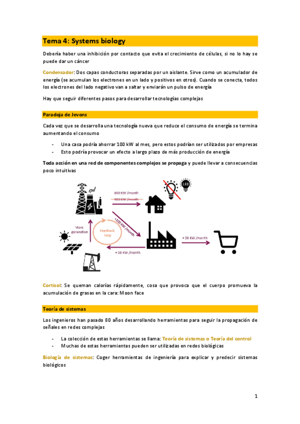 Miniatura del documento T4-BIOINF.pdf