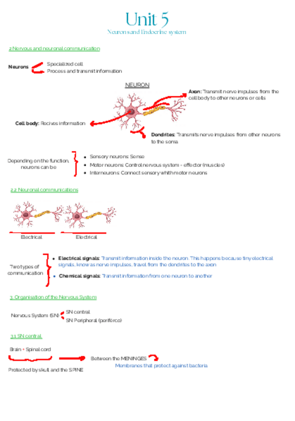 Miniatura del documento Unit-5.pdf
