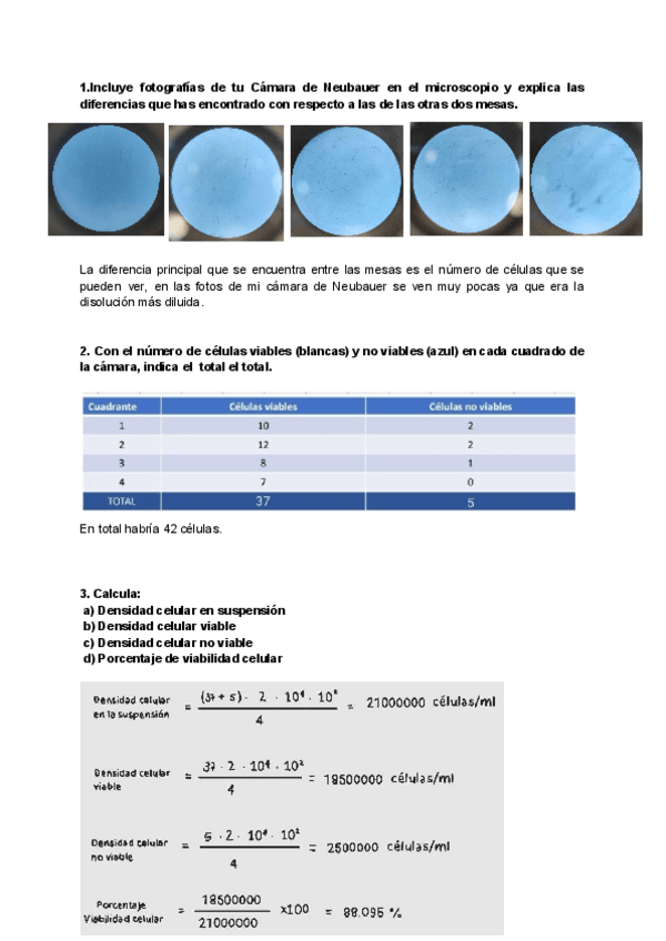 Miniatura del documento Biologia-Camara-de-Neubauer.pdf