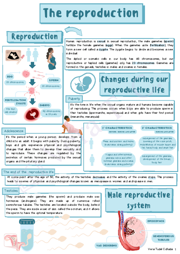 Miniatura del documento The-reproduction.pdf