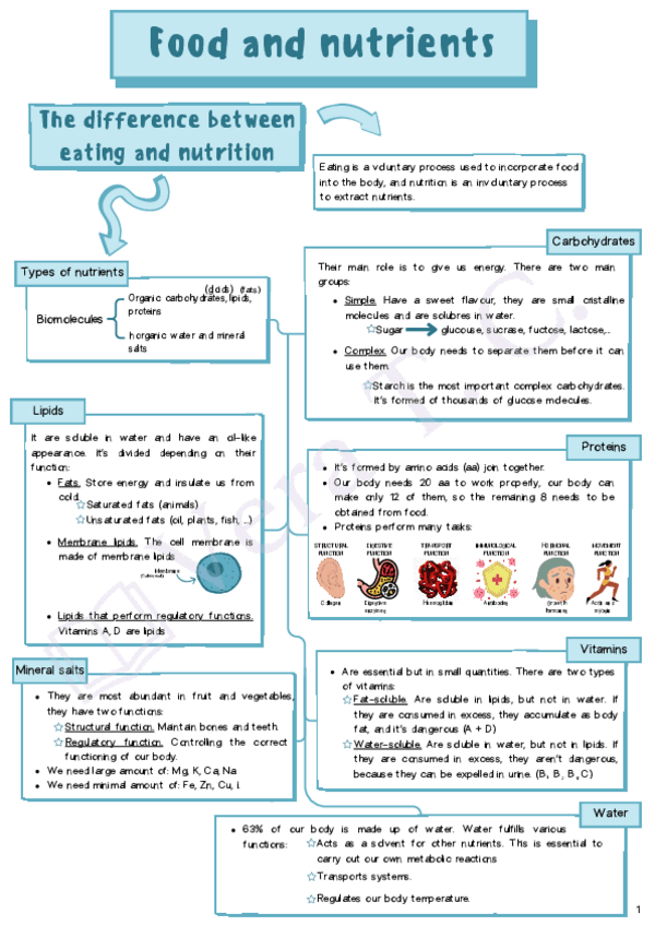 Miniatura del documento Food-and-nutrients.pdf
