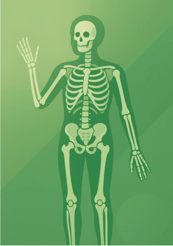 Miniatura del documento Tema-3.-Esquelet-apendicular-apunts.pdf