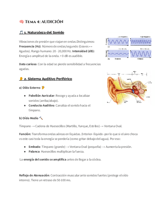 Miniatura del documento Audicion.pdf