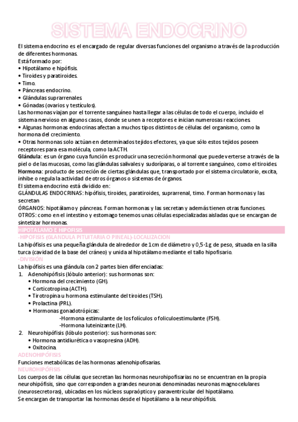 Miniatura del documento SISTEMA-ENDOCRINO.pdf