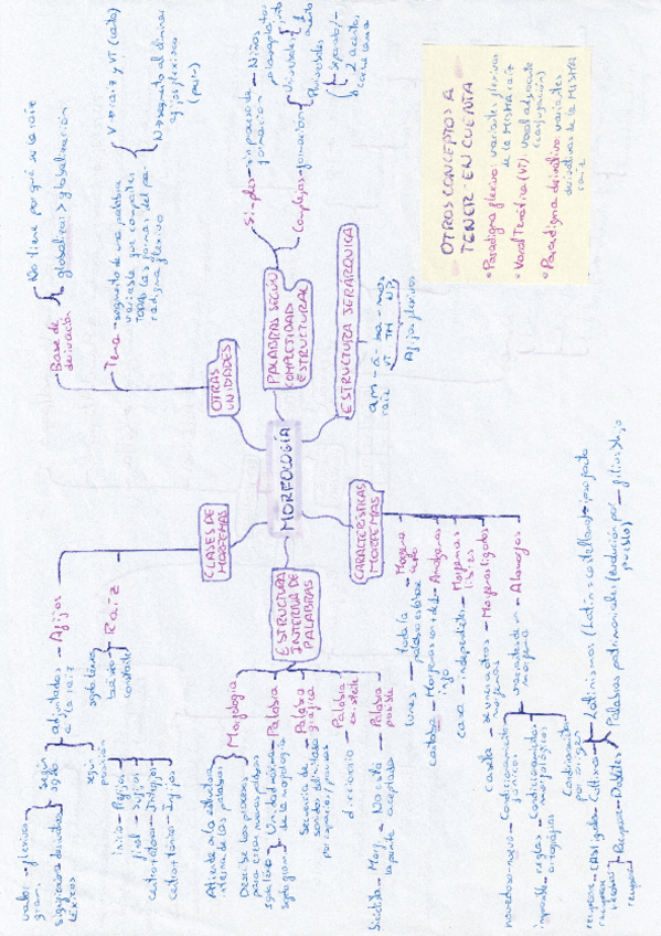 Miniatura del documento Morfologia.pdf