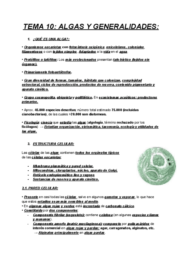 Miniatura del documento BOTANICA-1-TEMA-10-ALGAS-Y-GENERALIDADES.pdf