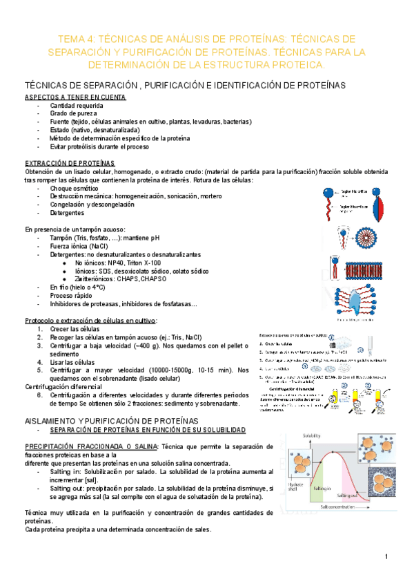 Miniatura del documento BIOQUIMICA-TEMA-4.pdf