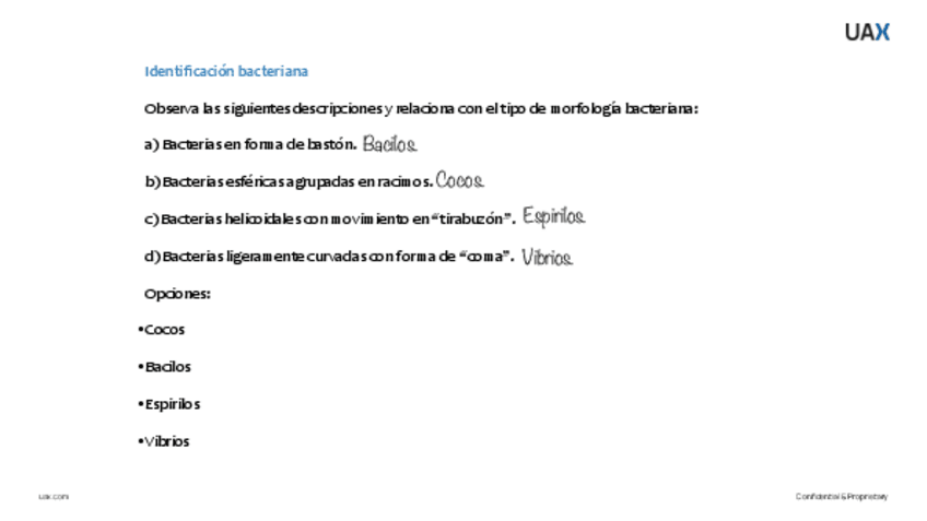 Miniatura del documento Trabajo-2a-de-Micro-GOD.pdf