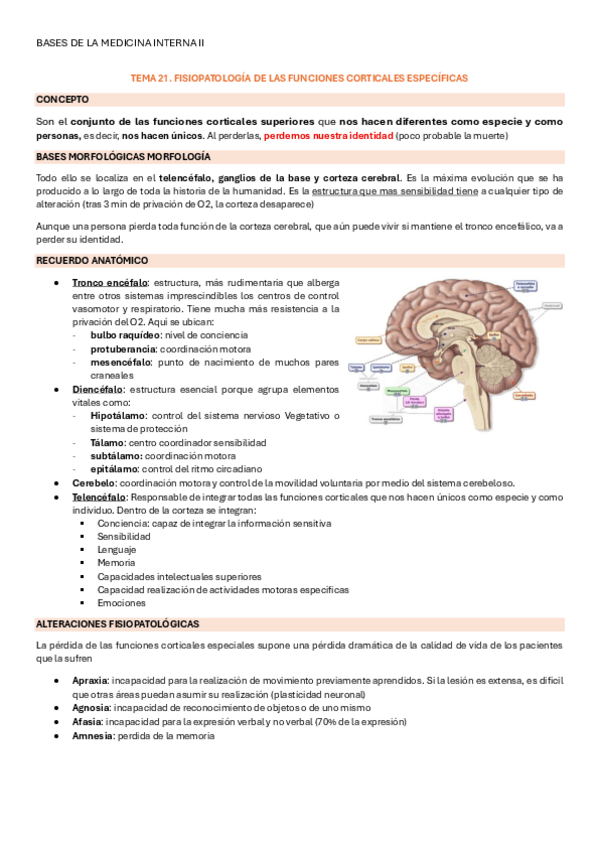 Miniatura del documento TEMA-21-fisiopatologia-de-las-funciones-corticales-especificas.pdf