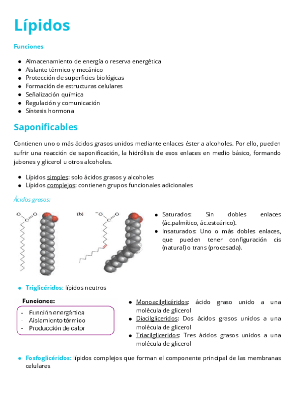 Miniatura del documento Lipidos-y-membranas-biologicas.pdf