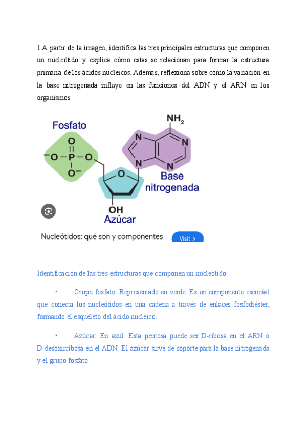 Miniatura del documento PREGUNTA-COMPETENCIAL-ESCRITA-POR-ALBA-PERIAGO-PLASENCIA.pdf