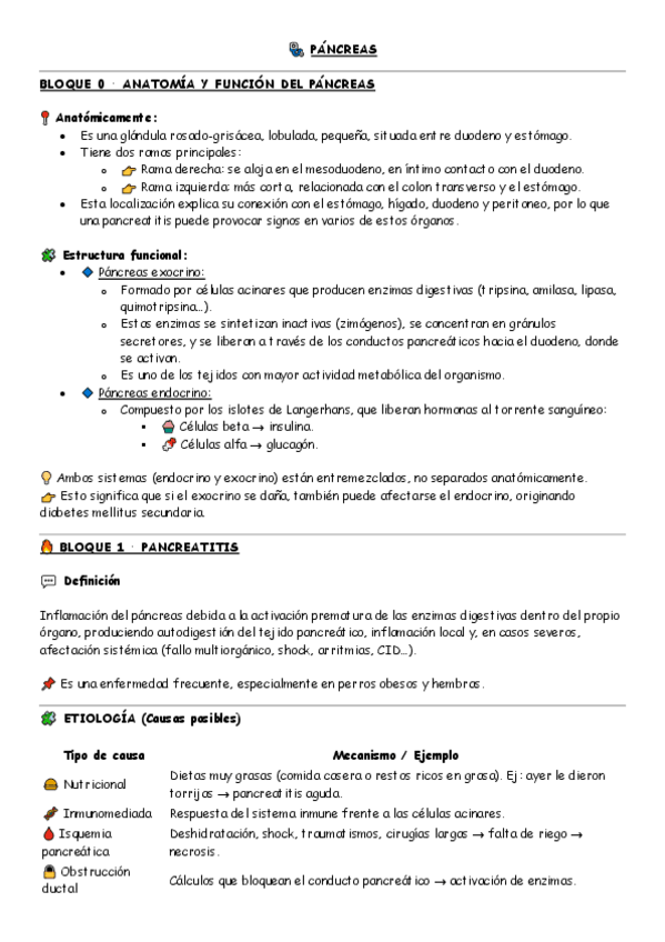 Miniatura del documento Pancreas-medicas.pdf