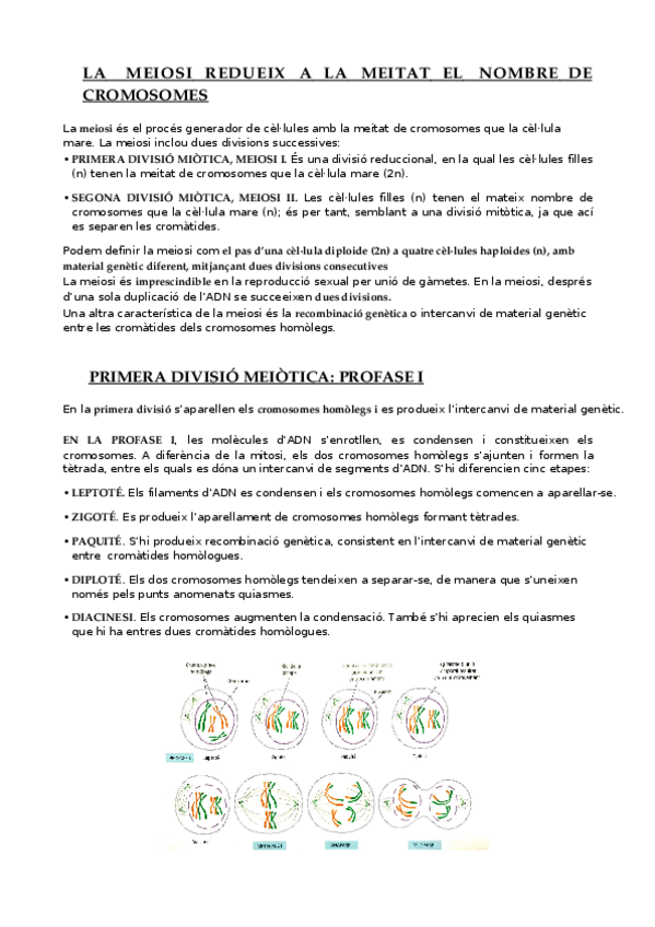 Miniatura del documento LA-MEIOSI.docx