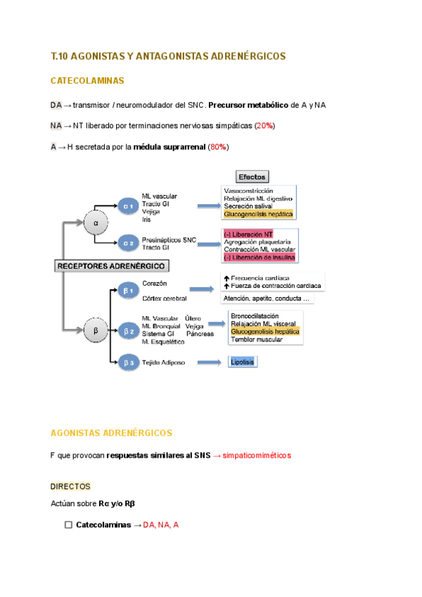 Miniatura del documento T.10-FARMA.pdf