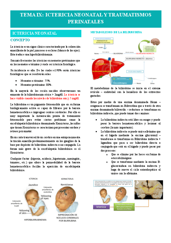 Miniatura del documento Tema-9-EIA.pdf