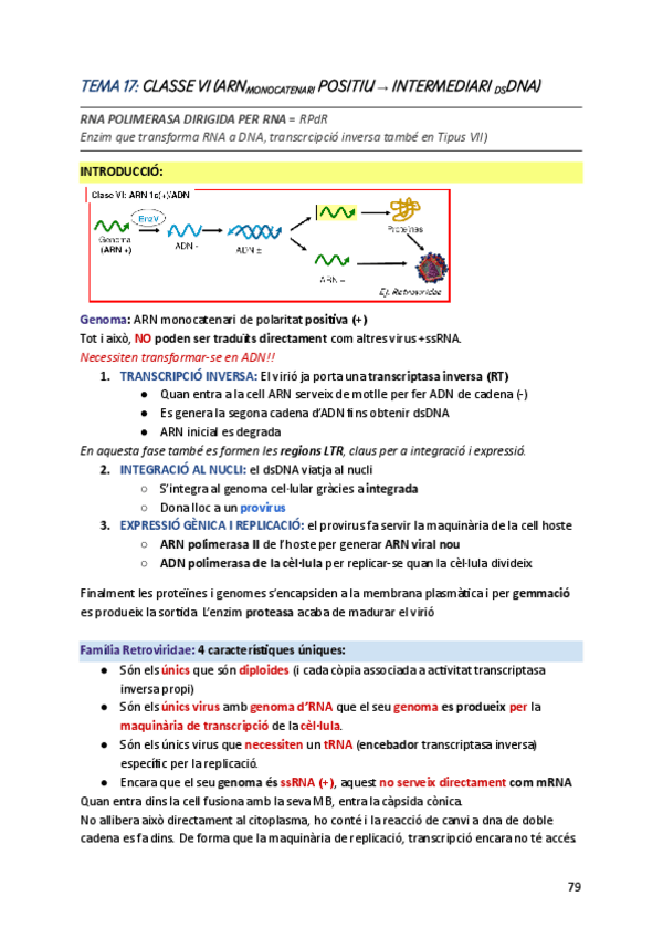Miniatura del documento DMF-t-17.pdf