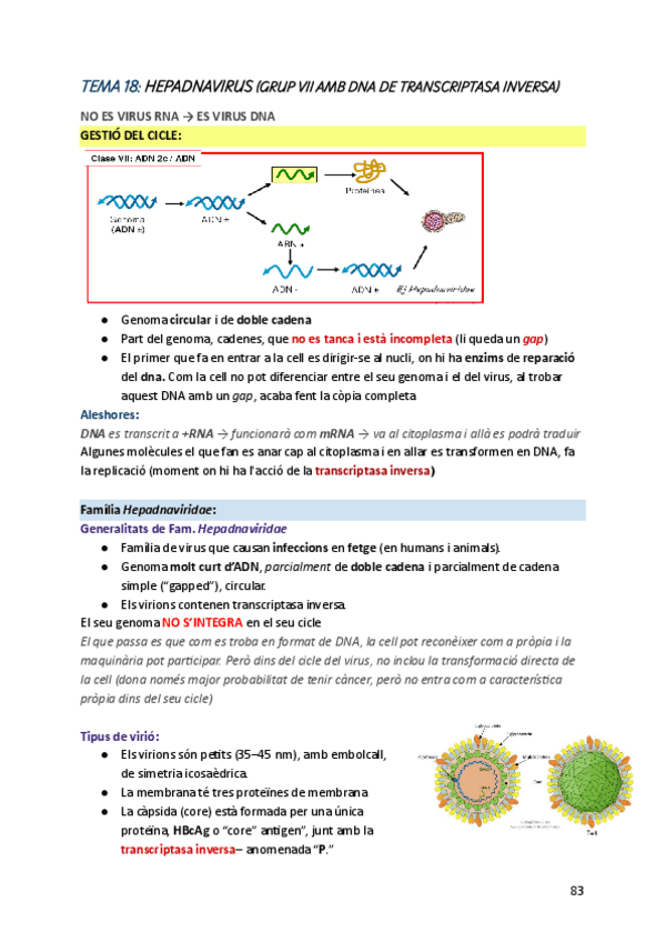 Miniatura del documento DMF-t-18.pdf