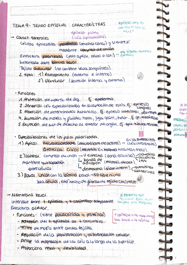 Miniatura del documento Procesos-bilogicos-1-temas-9-11.pdf