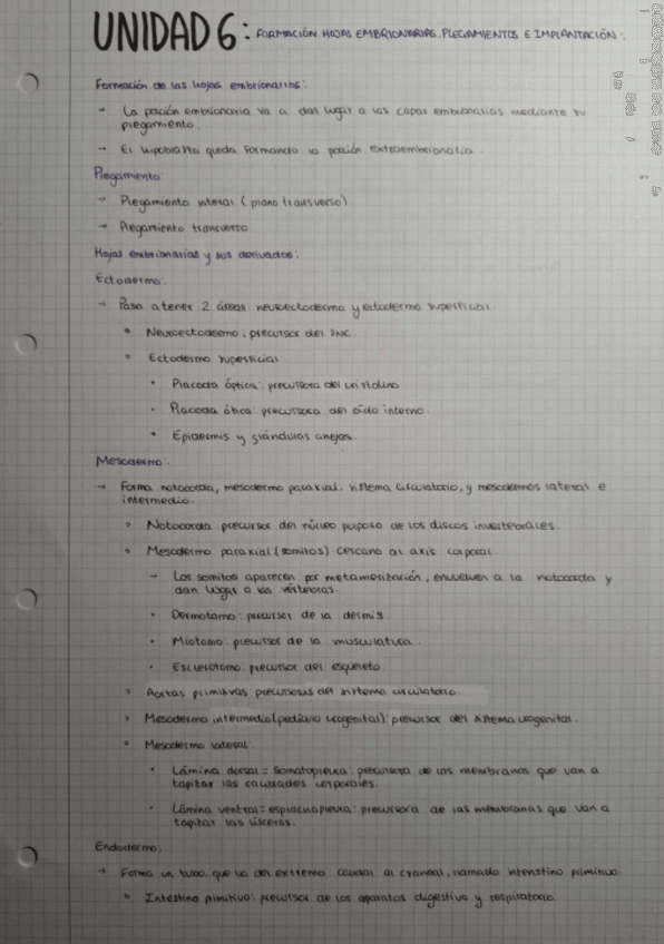 Miniatura del documento UNIDAD-6-HOJAS-EMBRIONARIAS.-PLEGAMIENTO-E-IMPLANTACION.pdf