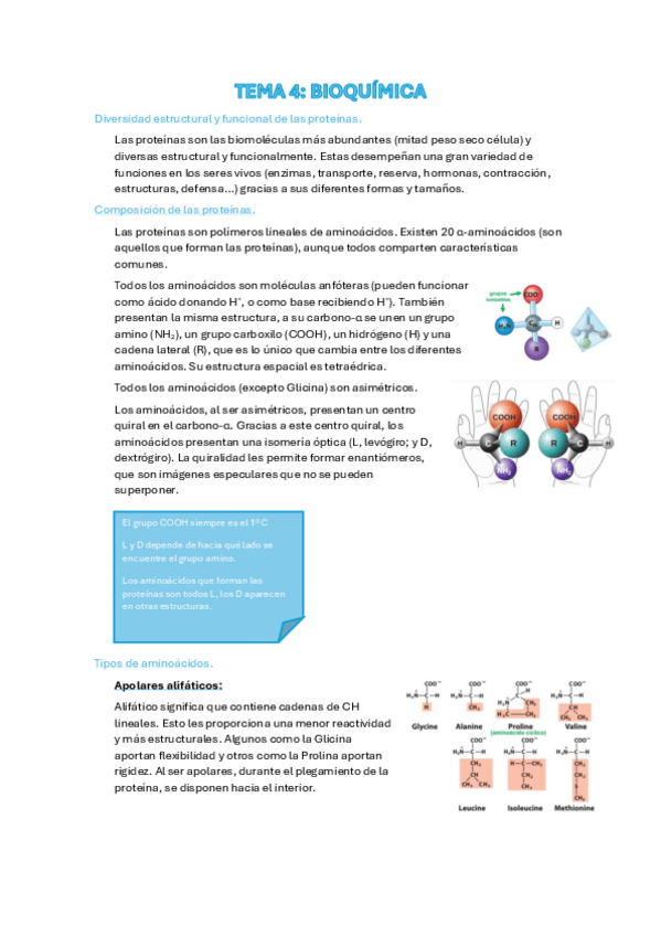 Miniatura del documento Tema-4.pdf
