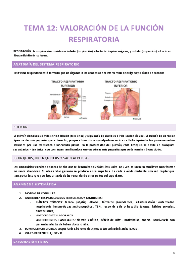 Miniatura del documento Tema-12.pdf