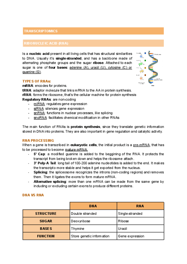 Miniatura del documento T2-TRANSCRIPTOMICS.pdf