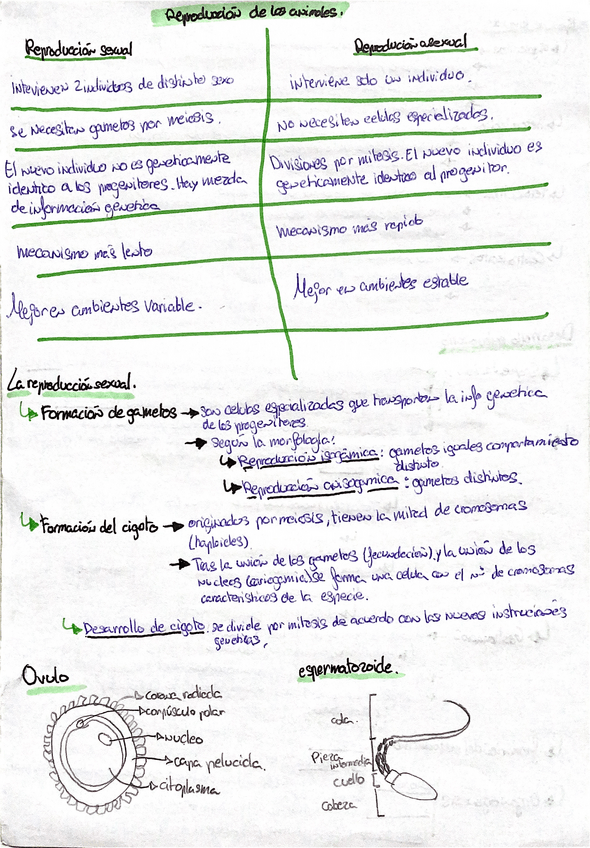 Miniatura del documento reproduccion-animales.pdf