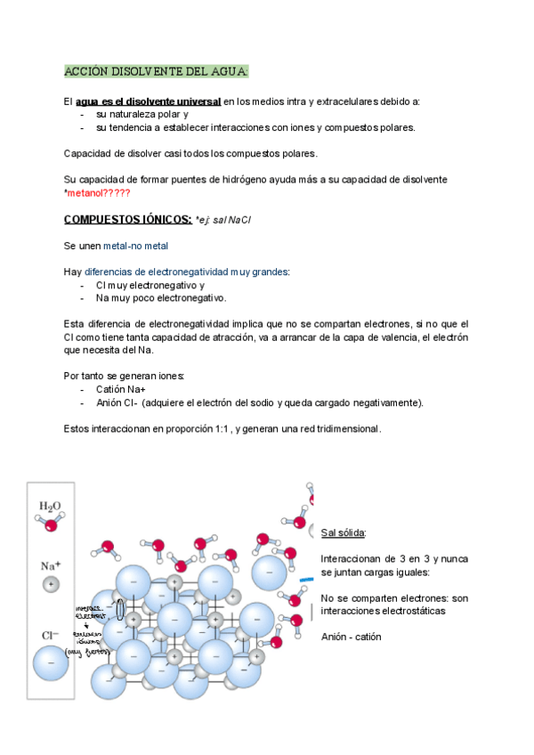 Miniatura del documento T3-agua.pdf